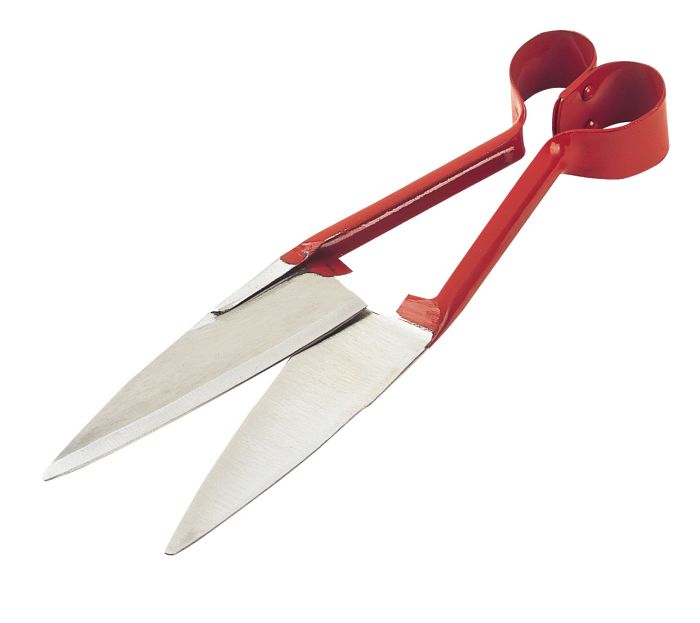 毛刈りハサミ 羊用