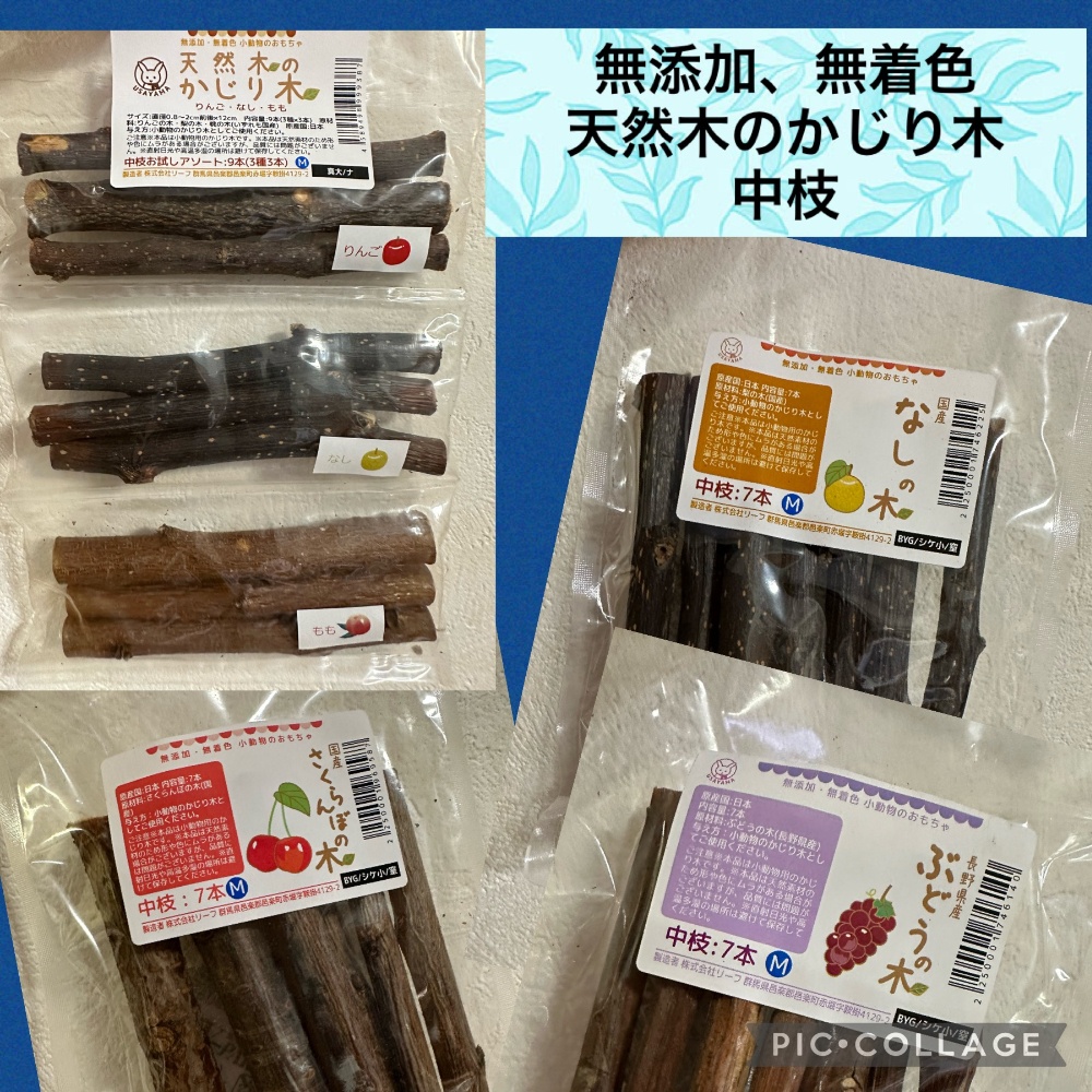 💛フクロモモンガ飼育用品 モモンガミルク販売中🍼 | フクロモモンガ