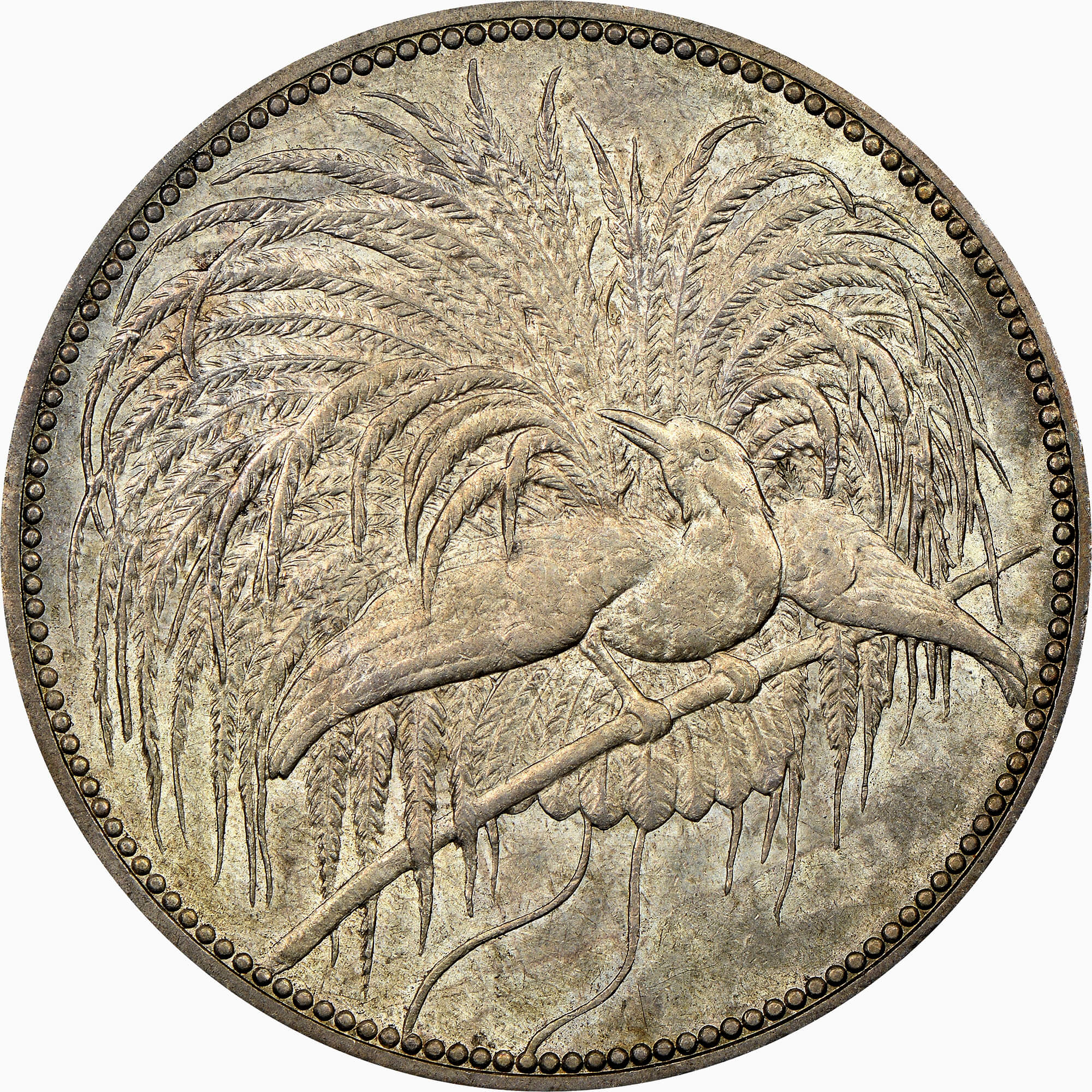 ドイツ領ニューギニア 5マルク銀貨 1894(A) 極楽鳥 KM-7 NGC MS62+