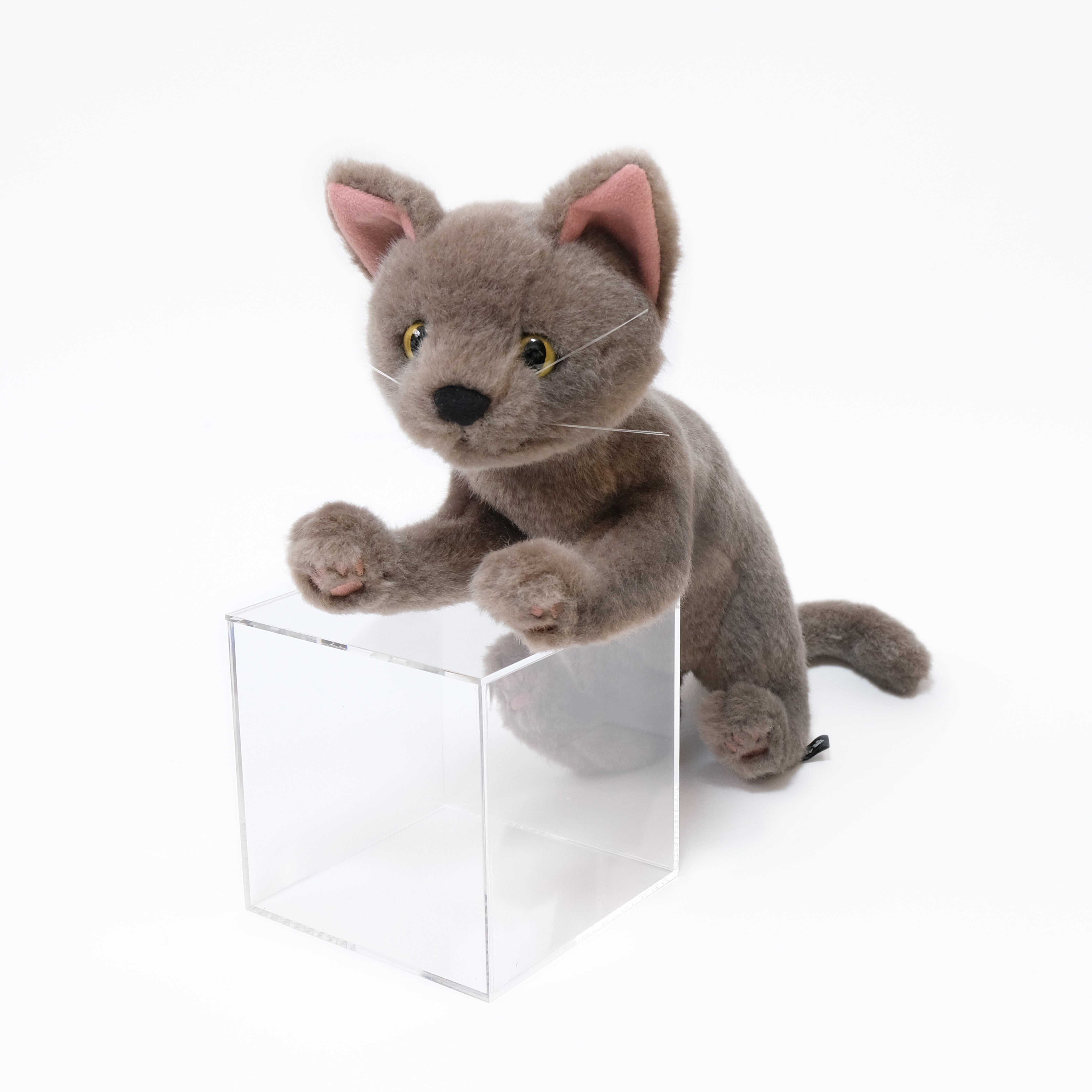 ミスチーフ ワビ助 Mischief Wabisuke 猫のぬいぐるみ 仔猫 – Cuddly