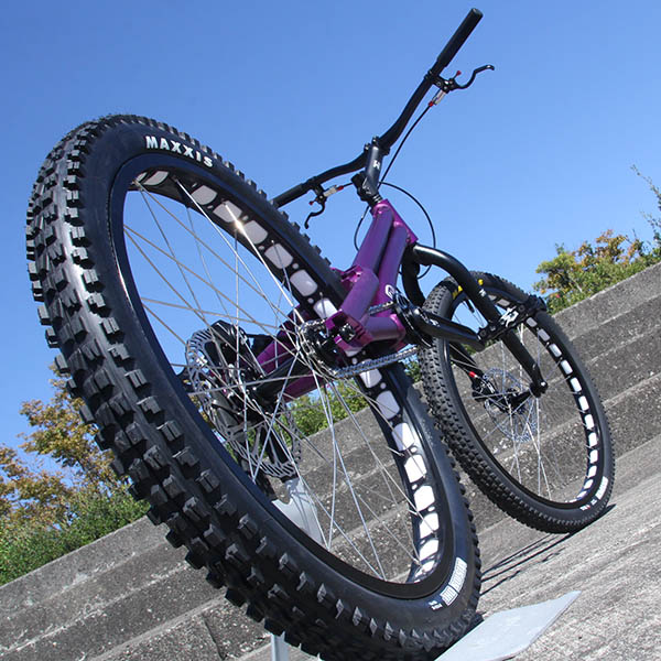 ECHO トライアル車 24インチ ECHO GU 24in 詳細 - まめつぶ.サイクル