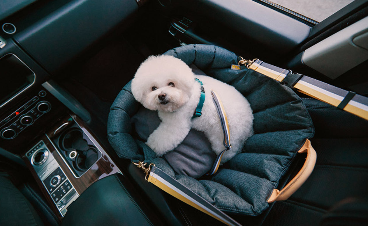 spel]スペル-チューリップカーシート – DADADA