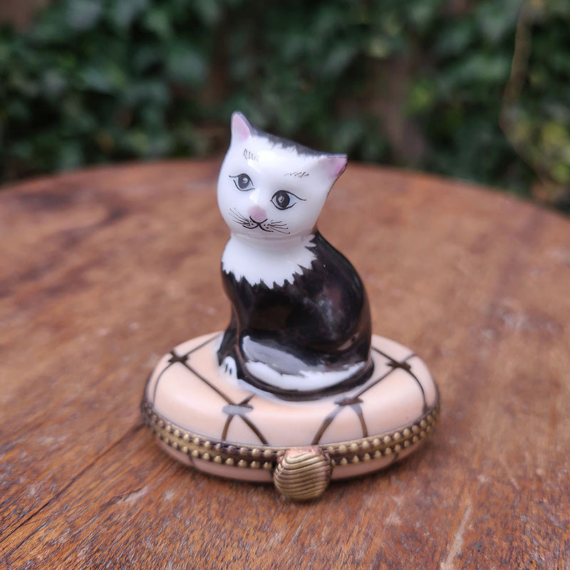 ヴィンテージ 限定 レア リモージュボックス ピアノ 猫 本 LIMOGES