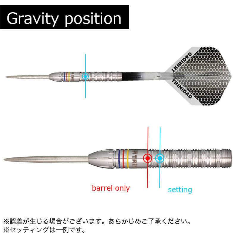 TRiNiDAD RAYMOND STEEL Darts Barrel – Dartsbuddy.com
