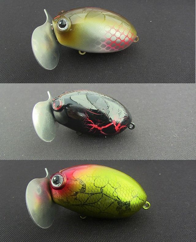 サザナミマラガシーハナムグリ3色3頭セット！特上個体！ サザナミ