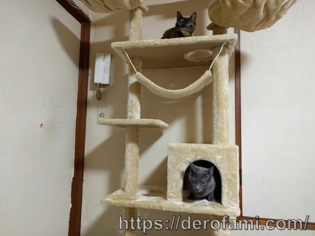 M2977-104-71】キャットタワー 高さ155CM M2977-104-71】キャット