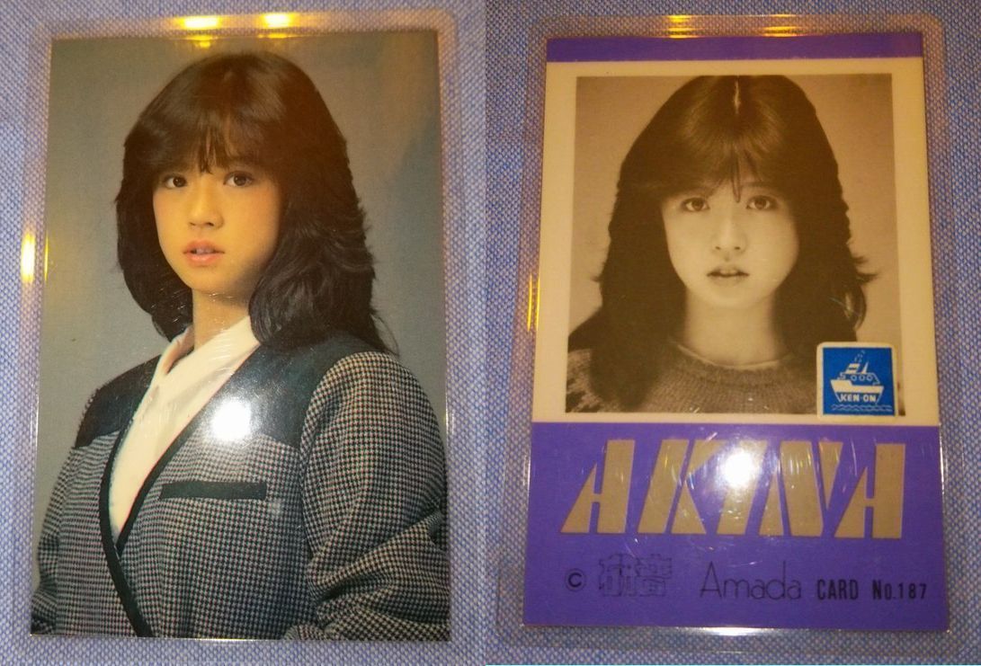 中森明菜 キーホルダー（希少） 中森明菜 免許証キーホルダー 希少