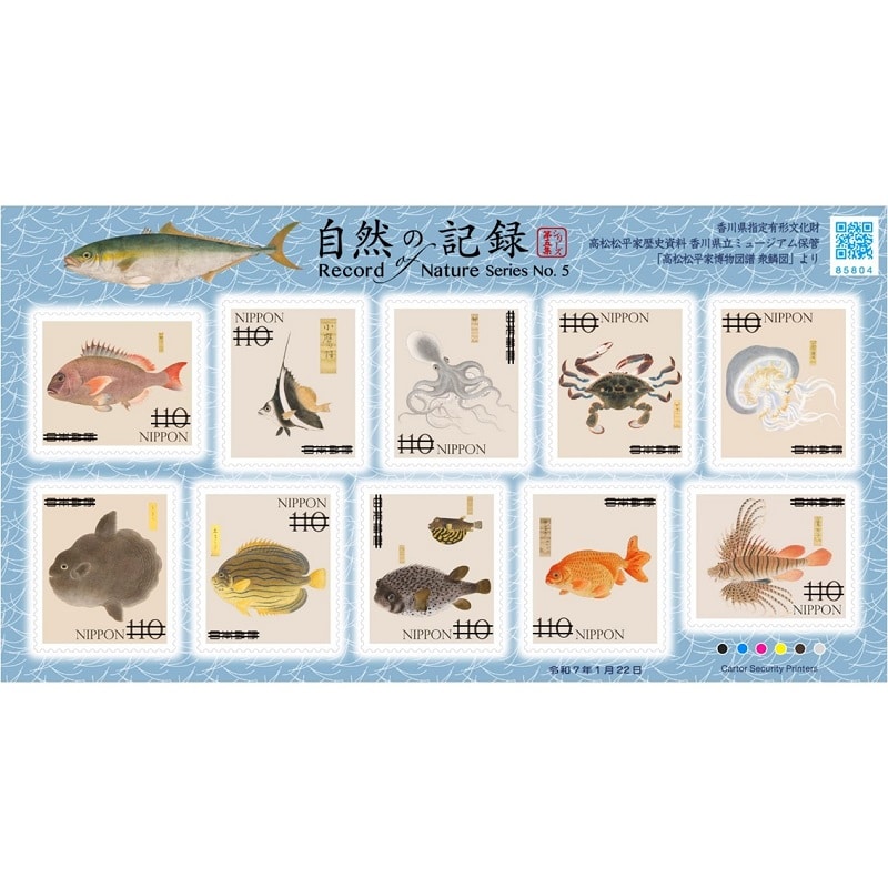 L60M120 レターパックライト 帯付60枚 L60M120 レターパックライト 帯