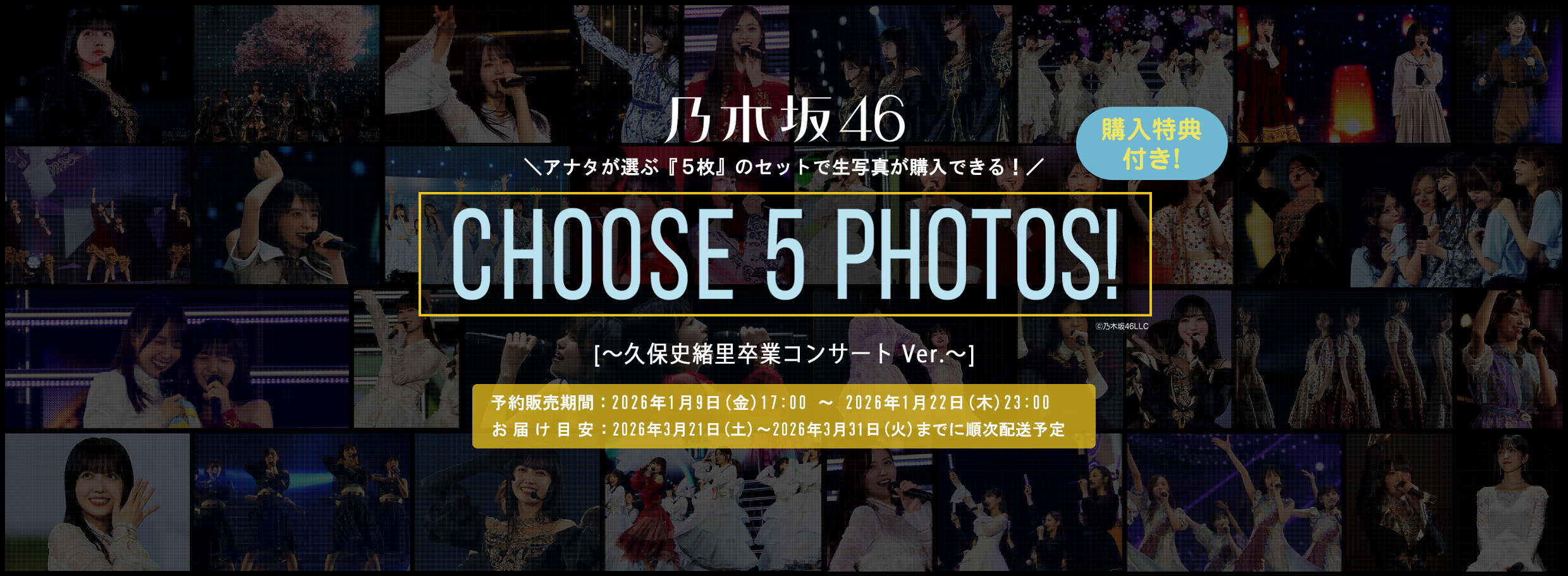 乃木坂46 生写真 113コンプまとめ売り ダブりなし 乃木坂46 生写真 113