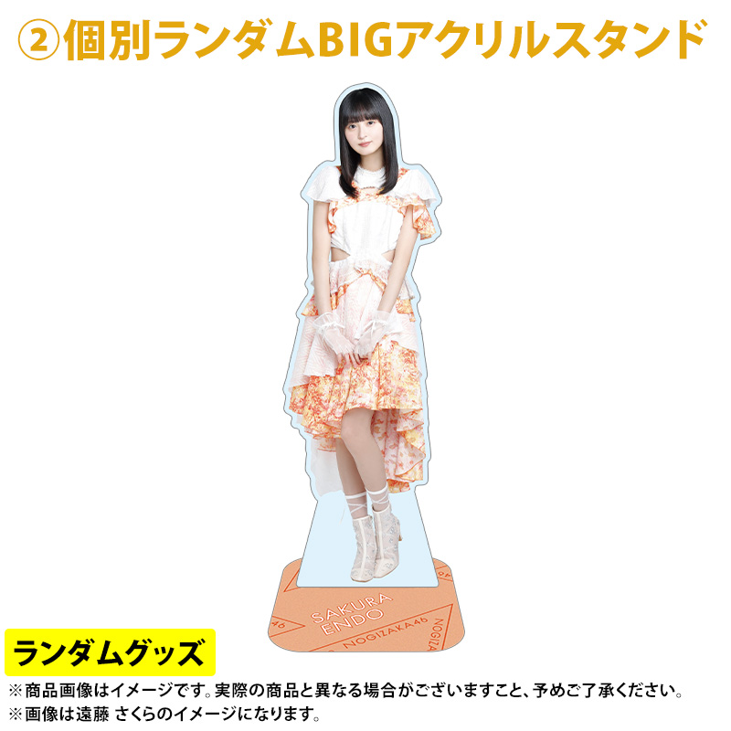 乃木坂46 mobile NOGI A賞 BIGアクリルスタンド 遠藤さくら 乃木坂46