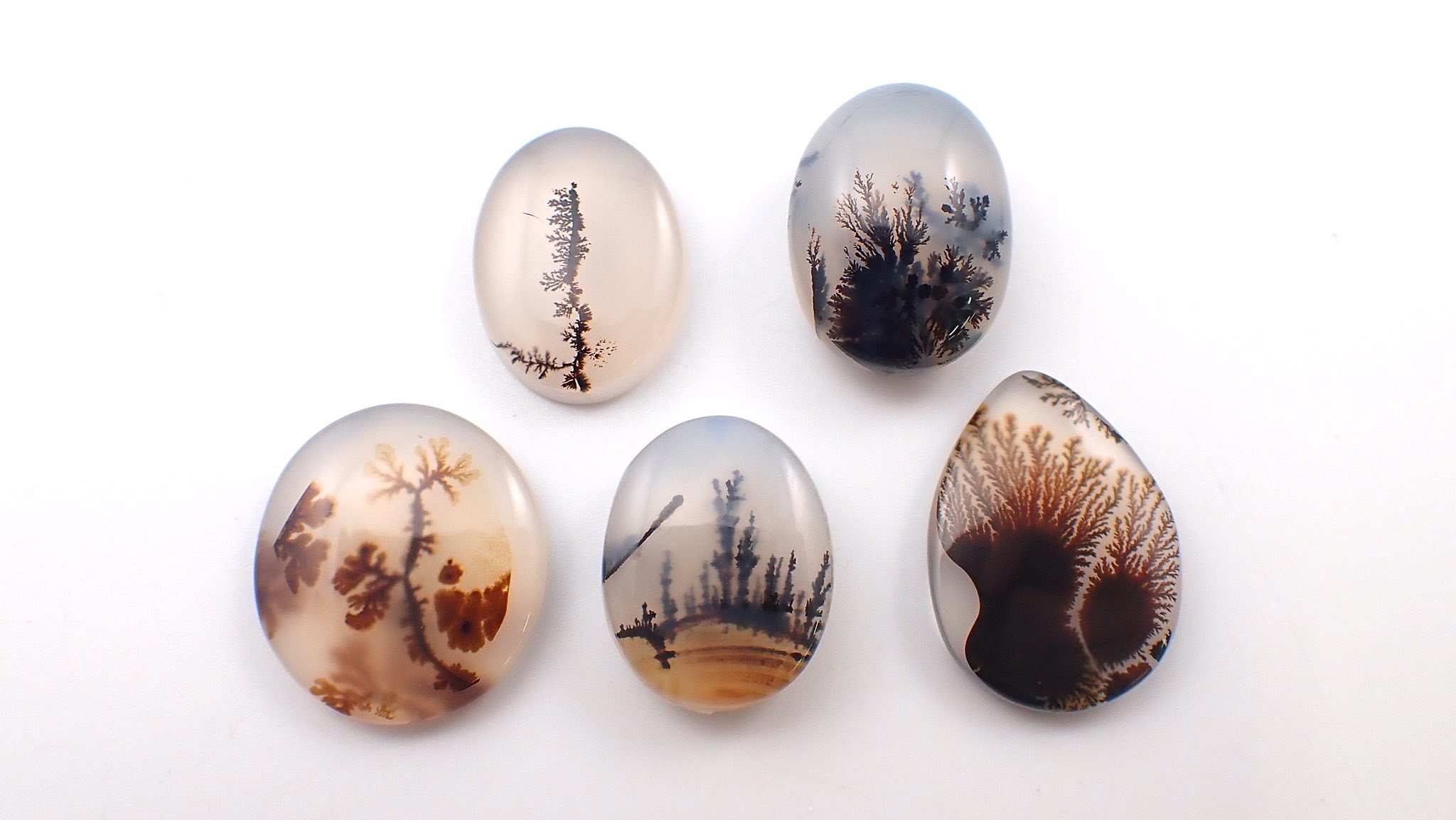 絵画のように美しいデンドリティッククォーツの世界とは？ | カラッツ