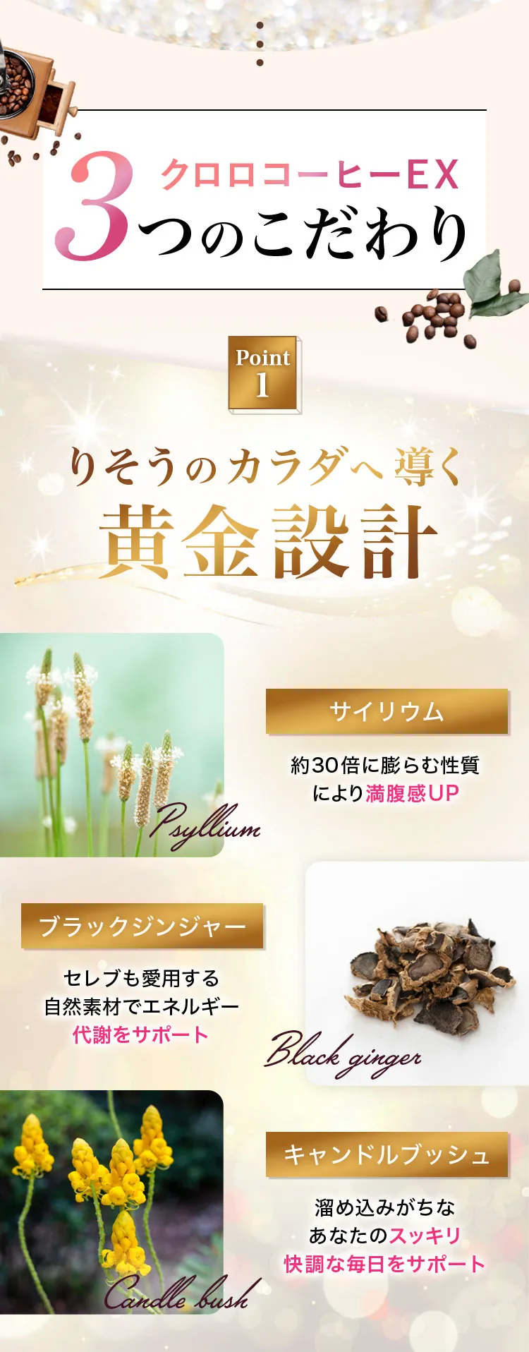 クロロコーヒーEX | 置き換えダイエットコーヒー