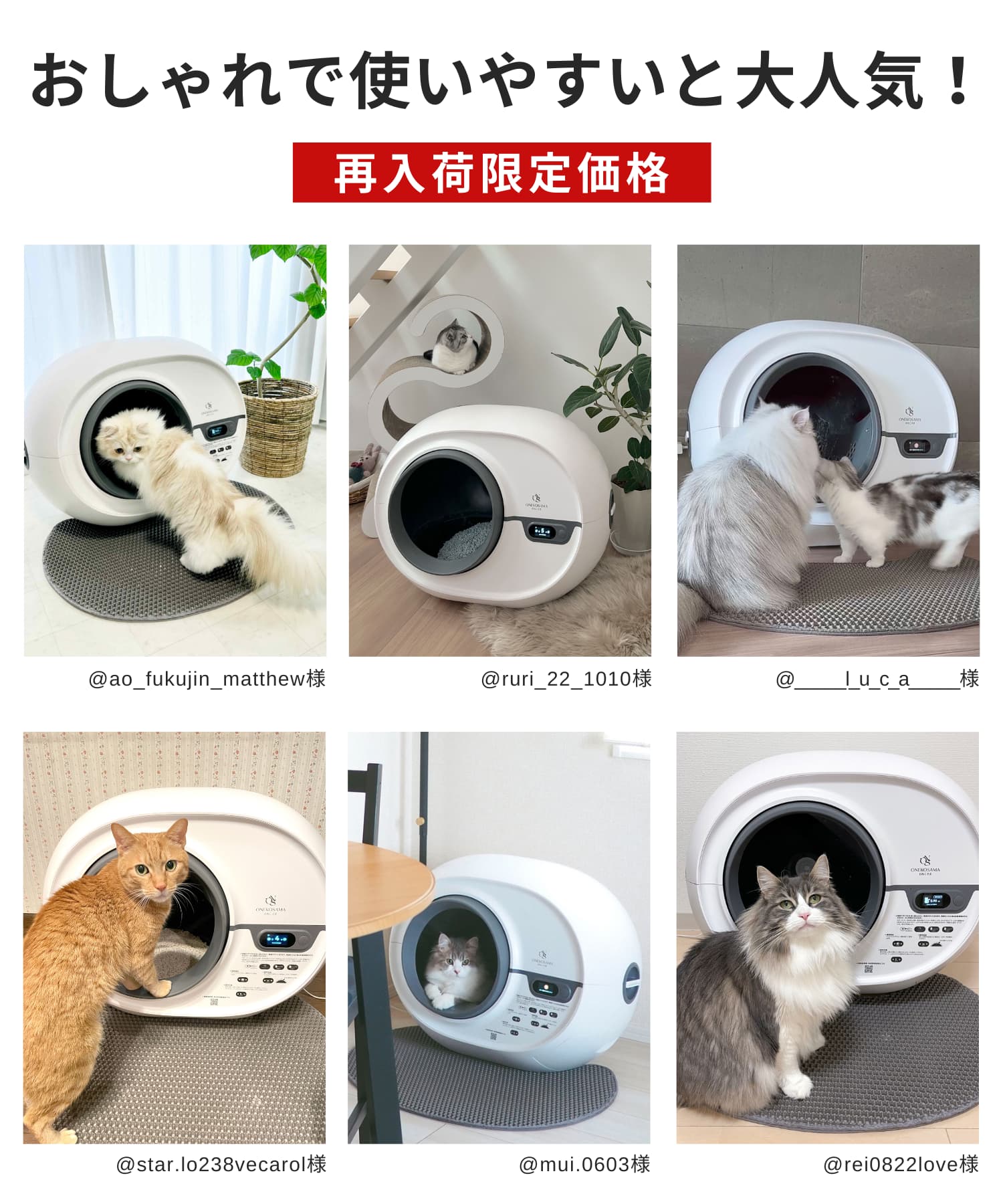 ねこさま専用