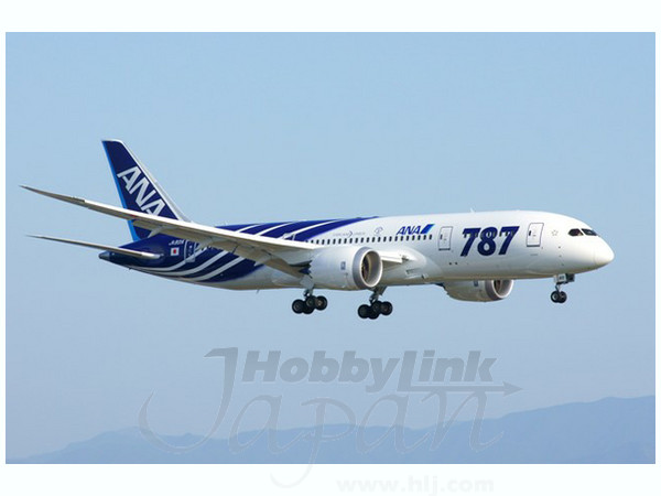 1/200 ボーインング 787-8 JA802A ANA特別塗装機 (2号機) | HLJ.co.jp