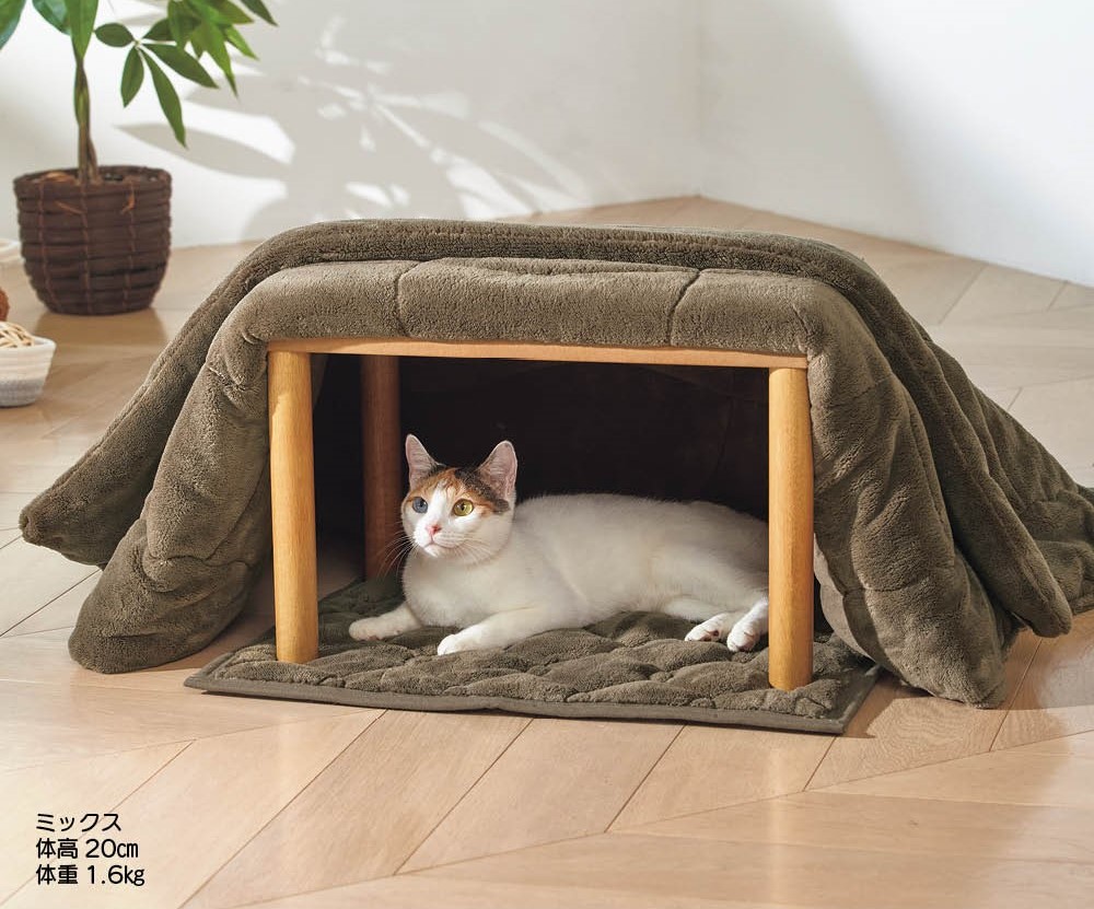 ペット用コタツ