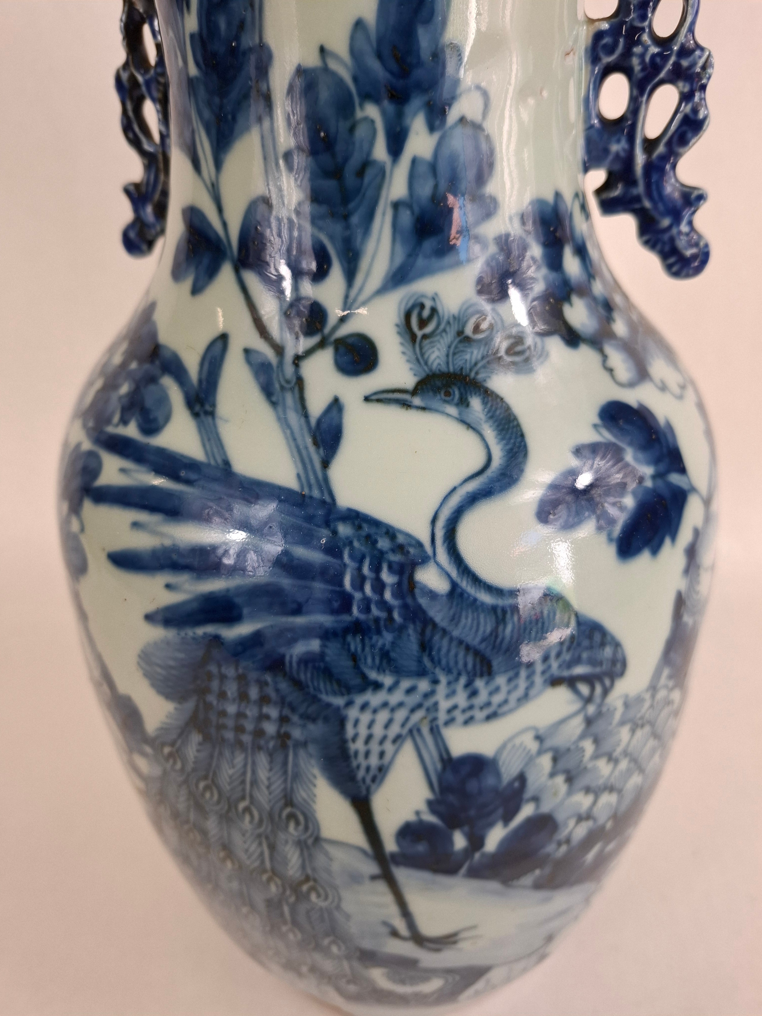 孔雀花卉装饰的中国古董花瓶//清朝- 19世纪– Diddenantiques