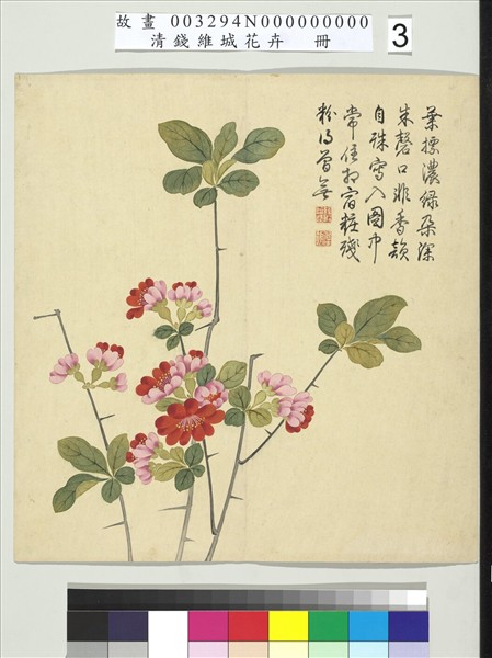 d*9様 台湾 故宮博物院 額入り絵画 清錢維城畫萬彙熙春圖 軸 台湾 故宮