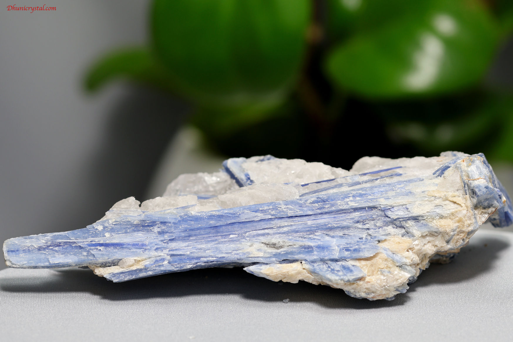 カイヤナイトの原石(A457)