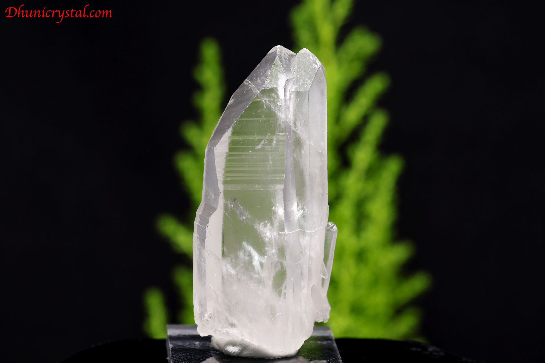 レムリアンシード・タントリックツインクリスタル(カブラル産)マスター