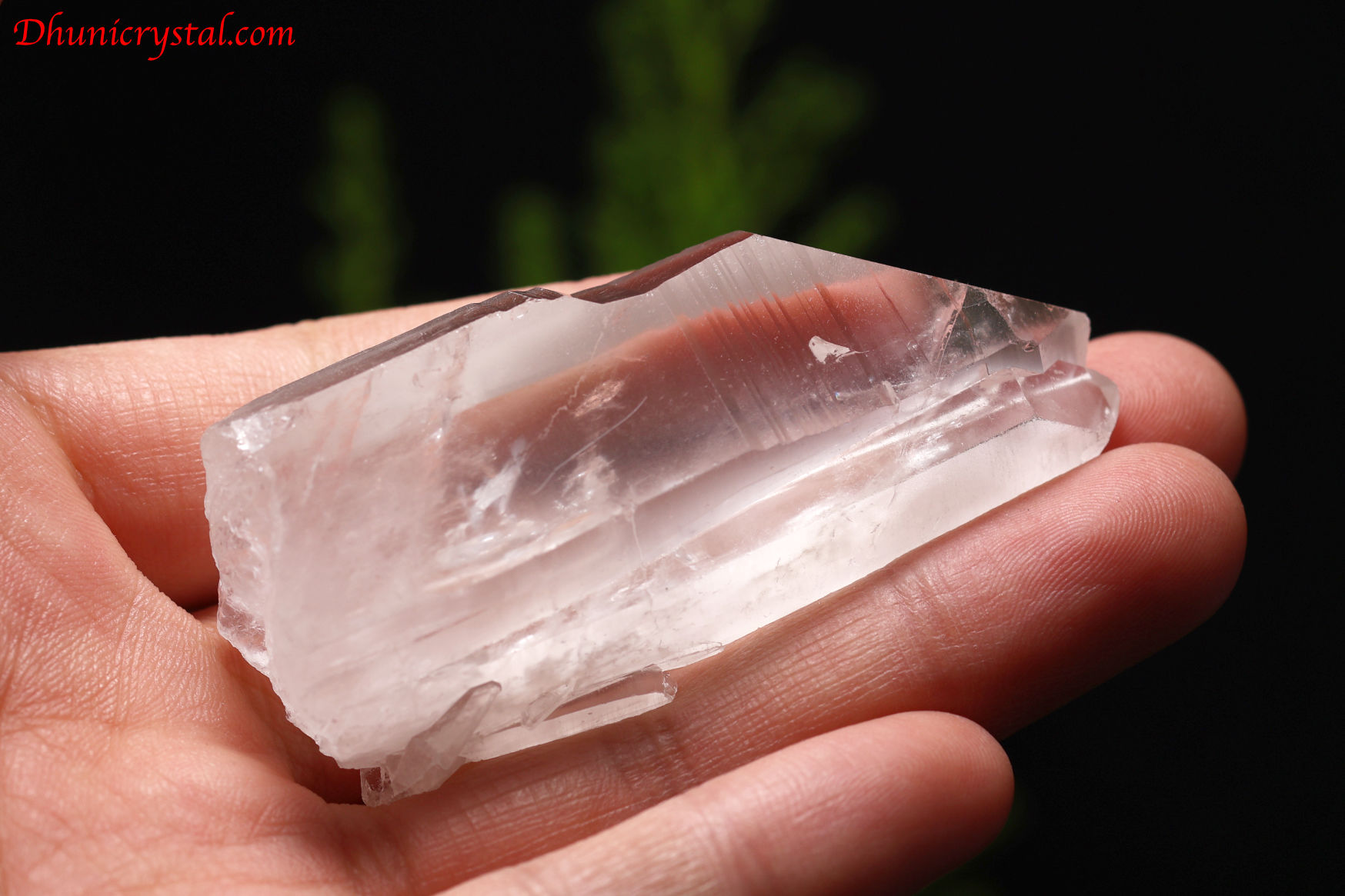 レムリアンシード・タントリックツインクリスタル(カブラル産)マスター