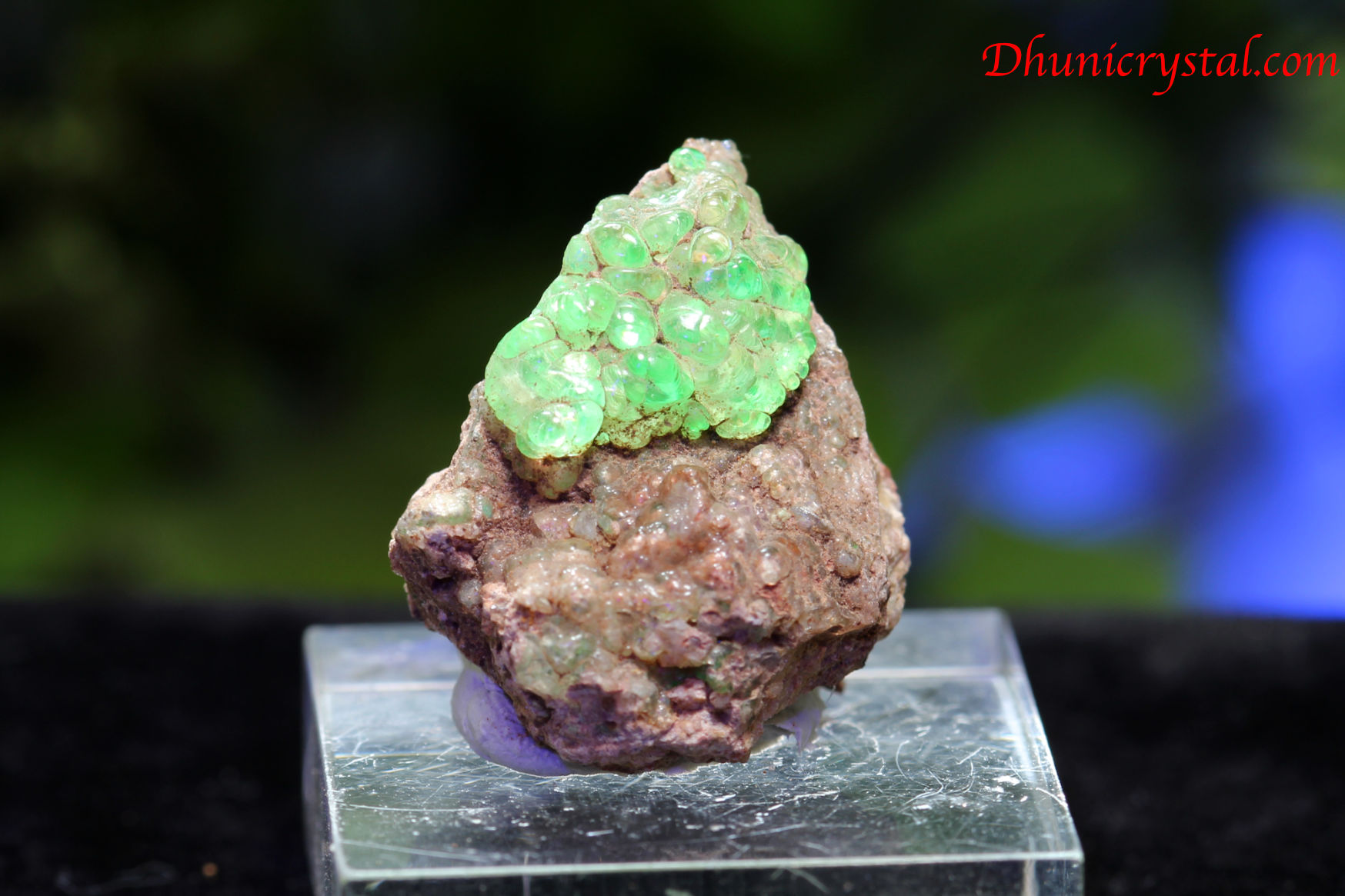 ハイアライトオパール HY1 スモーキークォーツ 鉱物 標本 原石 【公式