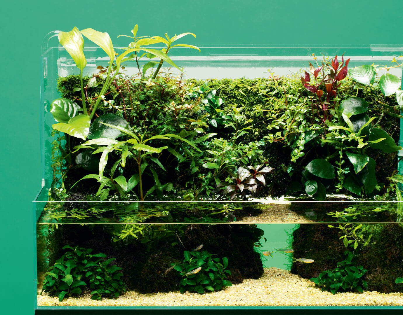 ada dooa 佗び草ウォール 【公式通販】