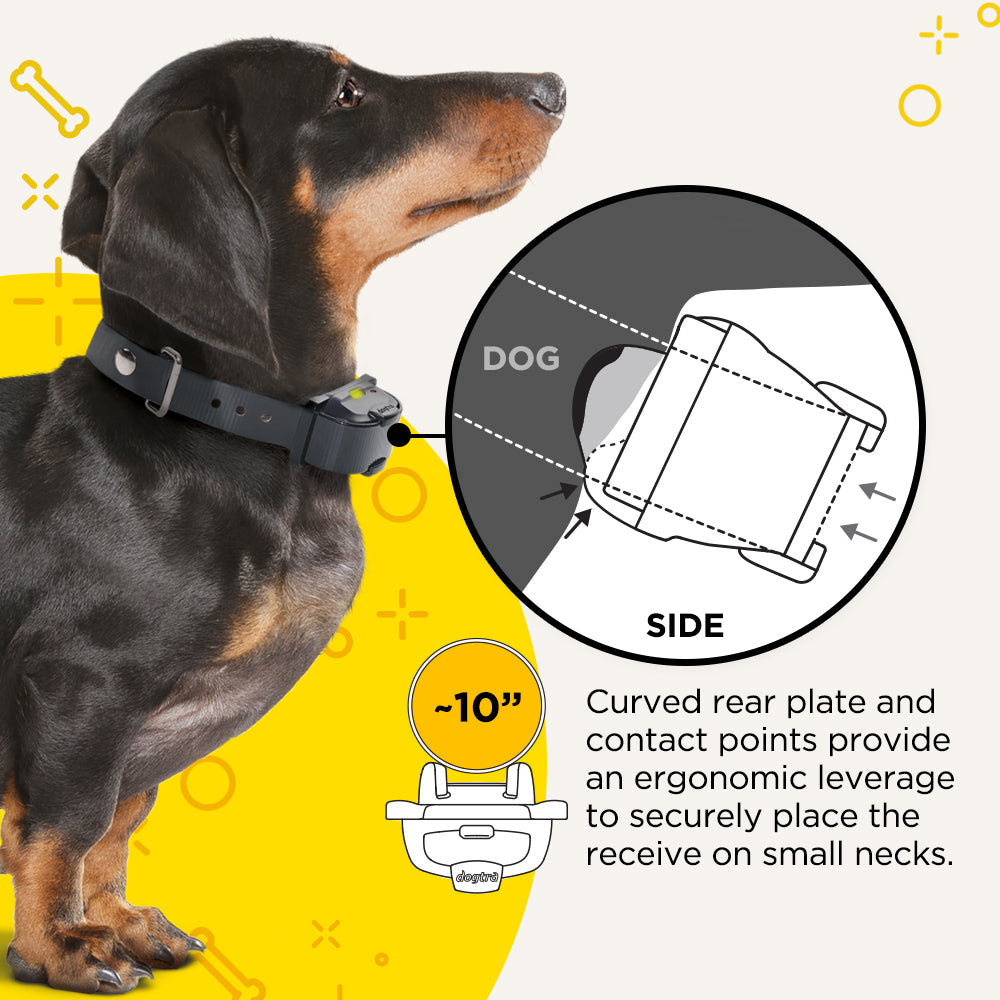 iQ MINI – Dogtra.com