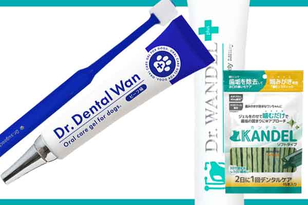 ドクターワンデルとドクターデンタルワンの違い！買うならコッチだ！