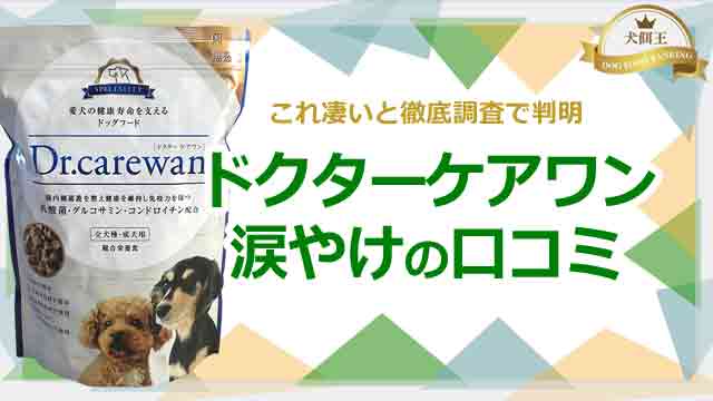 ドクターケアワン涙やけの口コミ！これ凄いと徹底調査で判明