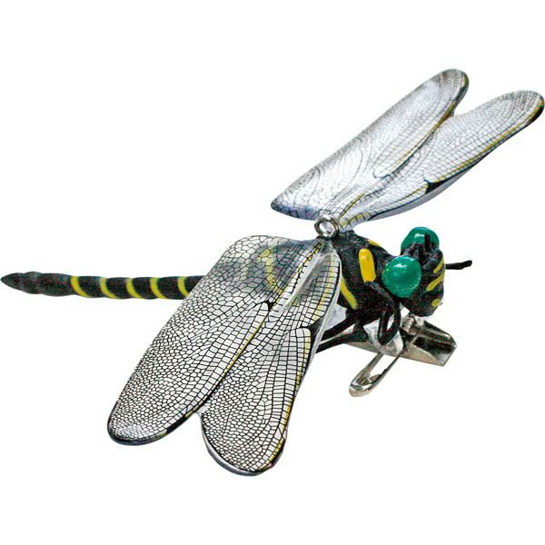 ボルネオ産 美麗タマムシ 46mm ボルネオ産 美麗タマムシ 46mm ボルネオ