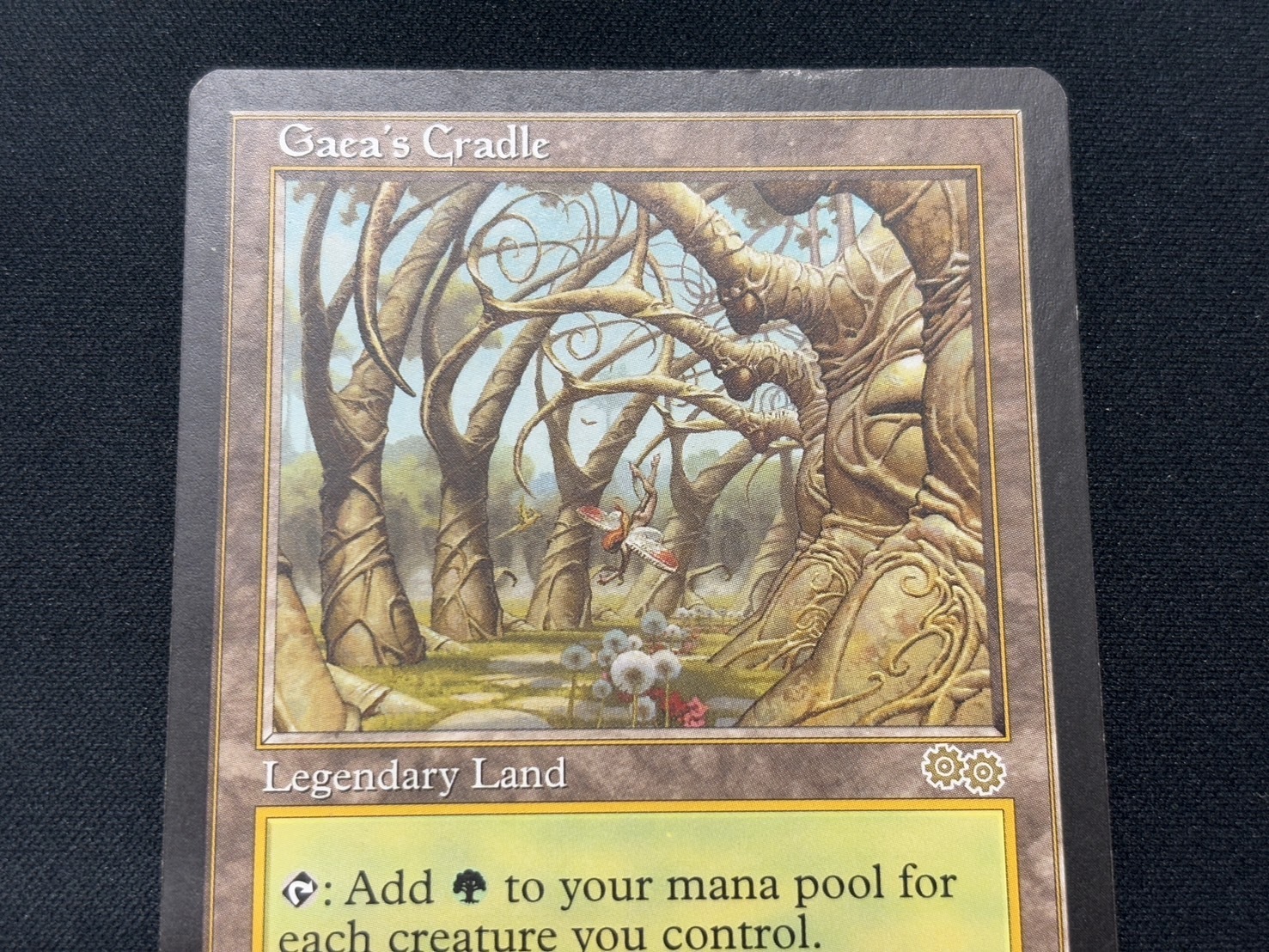 ガイアの揺籃の地 あんしん鑑定利用可能 ガイアの揺籃の地 あんしん