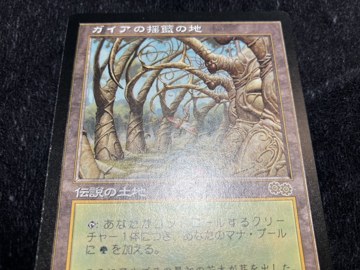 mtg ガイアの揺籃の地 日本語 MTG ガイアの揺籃の地 日本語 1枚 ② MTG