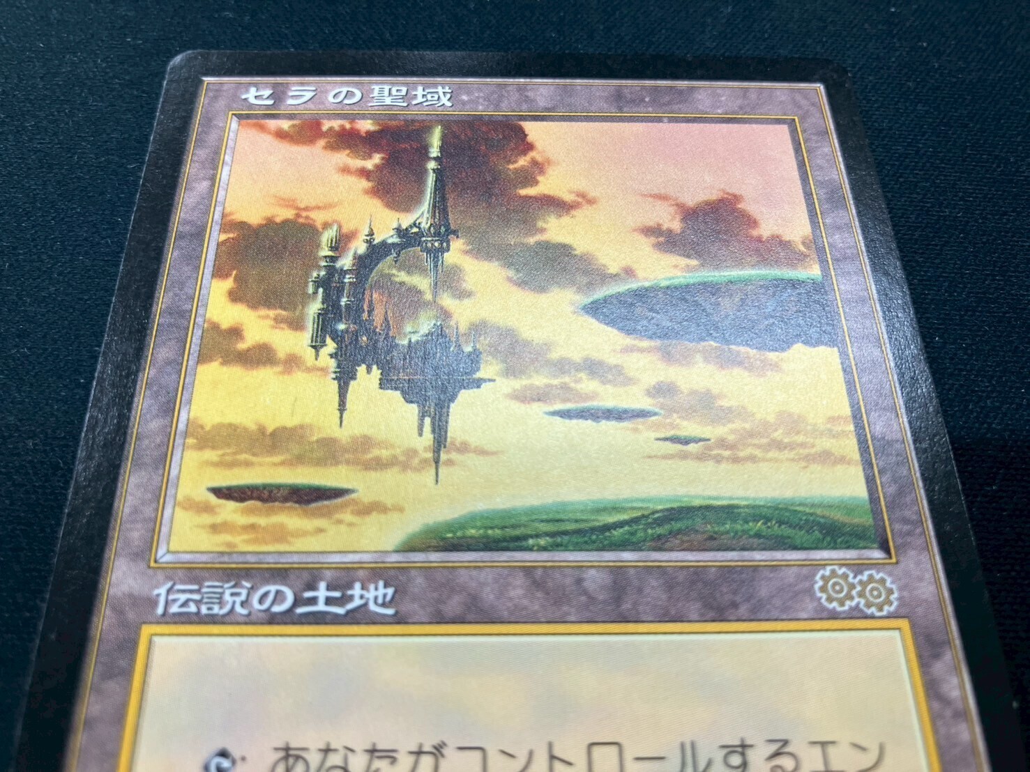 MTG セラの聖域 日本語 1枚 MTG セラの聖域 1枚 日本語