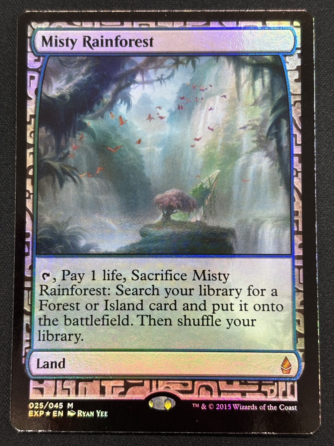 霧深い雨林 英語 旧枠Foil □旧枠□《霧深い雨林/Misty Rainforest