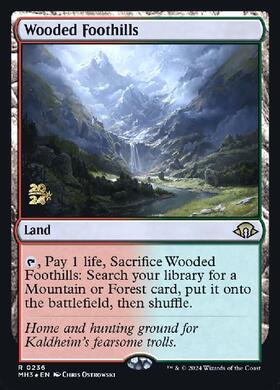 mtg 樹木茂る山麓 英語2枚セット サインド mtg 樹木茂る山麓 英語2枚