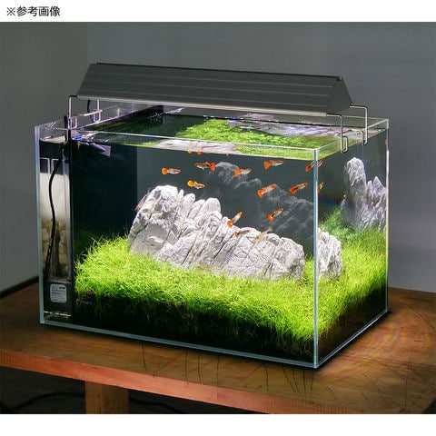 WRGBバックライトスクリーンⅢ 60cm×36cm A1091 WRGBバックライト
