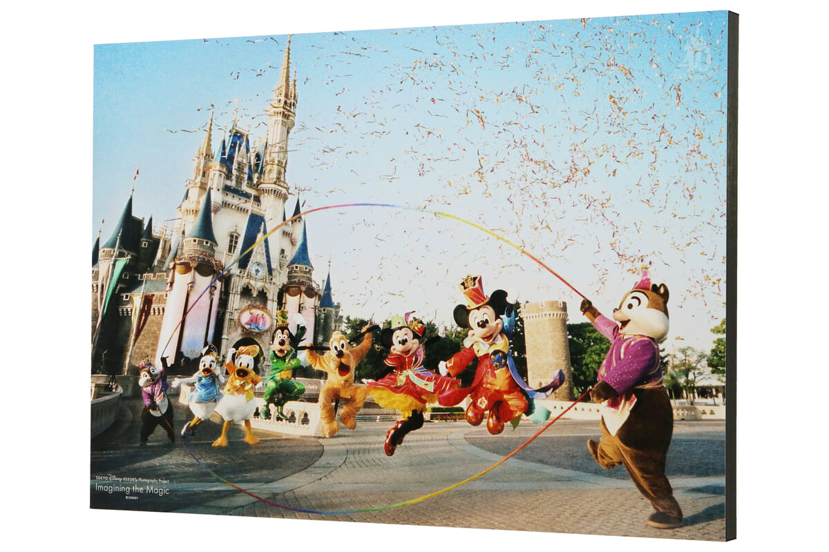 レア ディズニー イマジニングザマジック アート パネル 魚眼レンズ