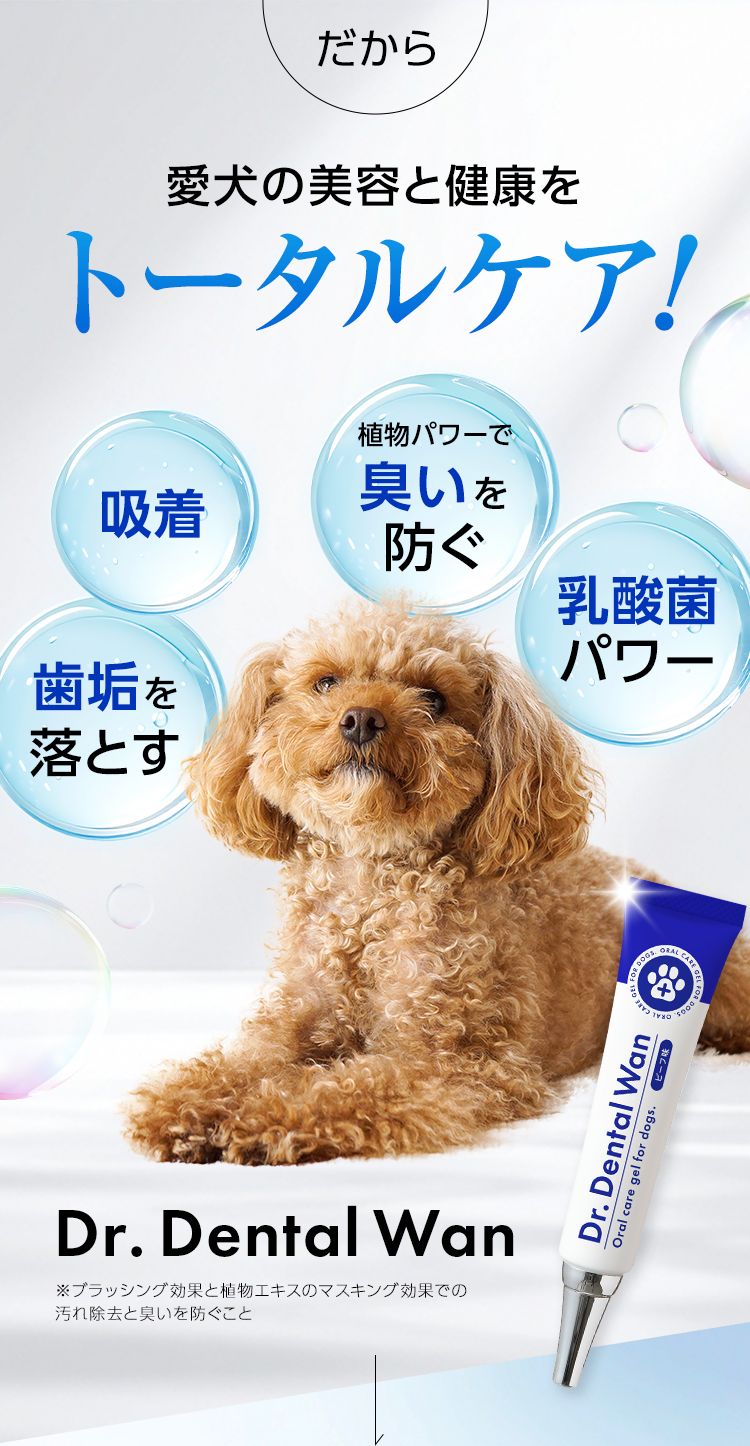 ドクターデンタルワン｜サンテミナ