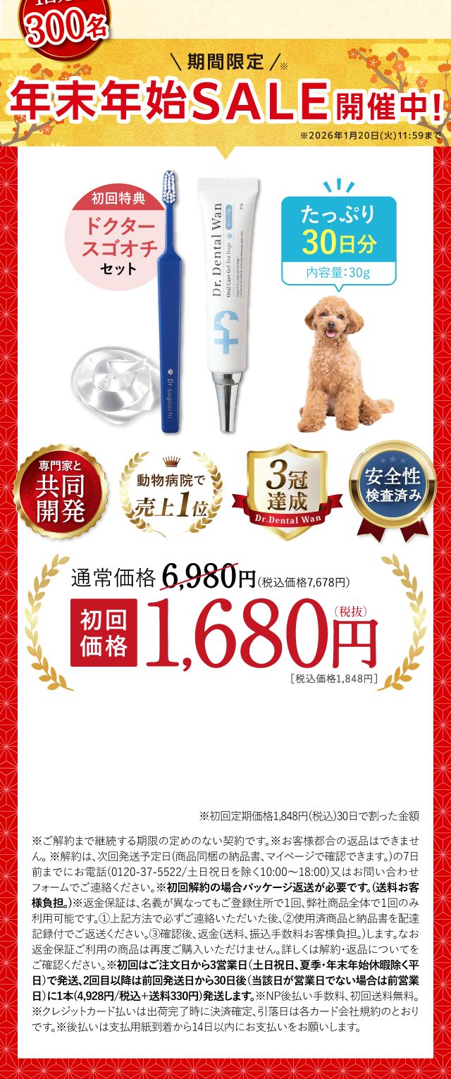 かな 9個セット Dr.Dental Wan ドクターデンタルワン｜サンテミナ