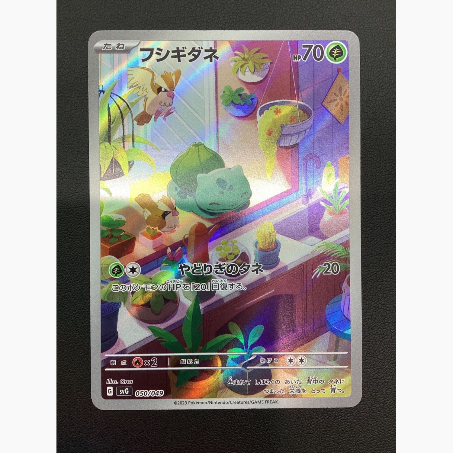 ポケモンカード PSA10 3連番 御三家 フシギダネ ヒトカゲ ゼニガメ AR