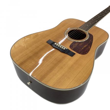 ♪訳あり！Morris M-50F ハカランダ♪ ♪訳あり！Morris M-50F