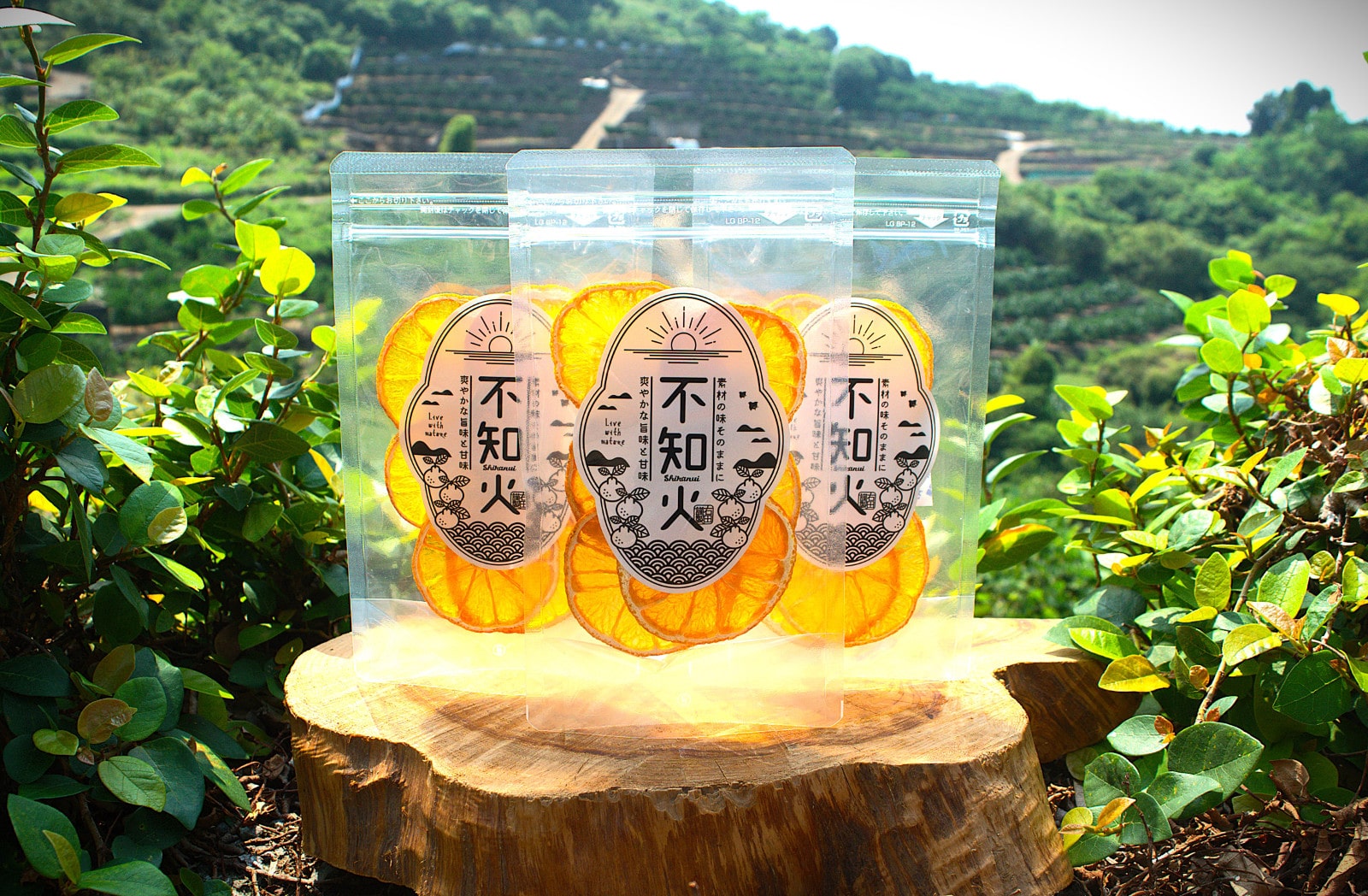 MogWan プレミアムドライフード3袋 Mog Wan モグワン プレミアム