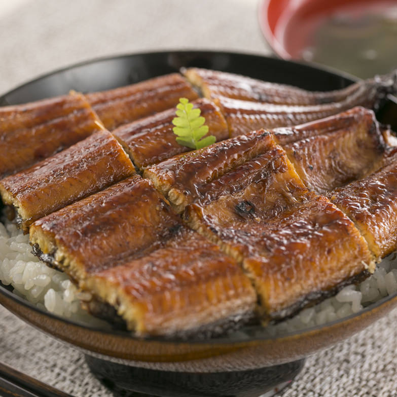 うなぎ屋きた本 うなぎ蒲焼きセット（3人前） 有限会社北本養鰻場 高知