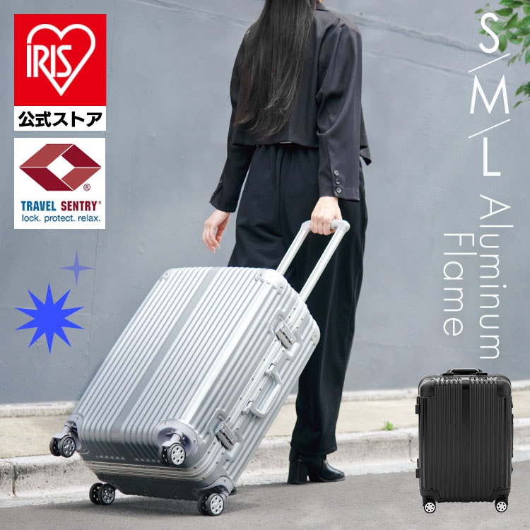 スーツケース シルバー Sサイズ 1~3泊 40Lキャリーケース 機内持ち込み