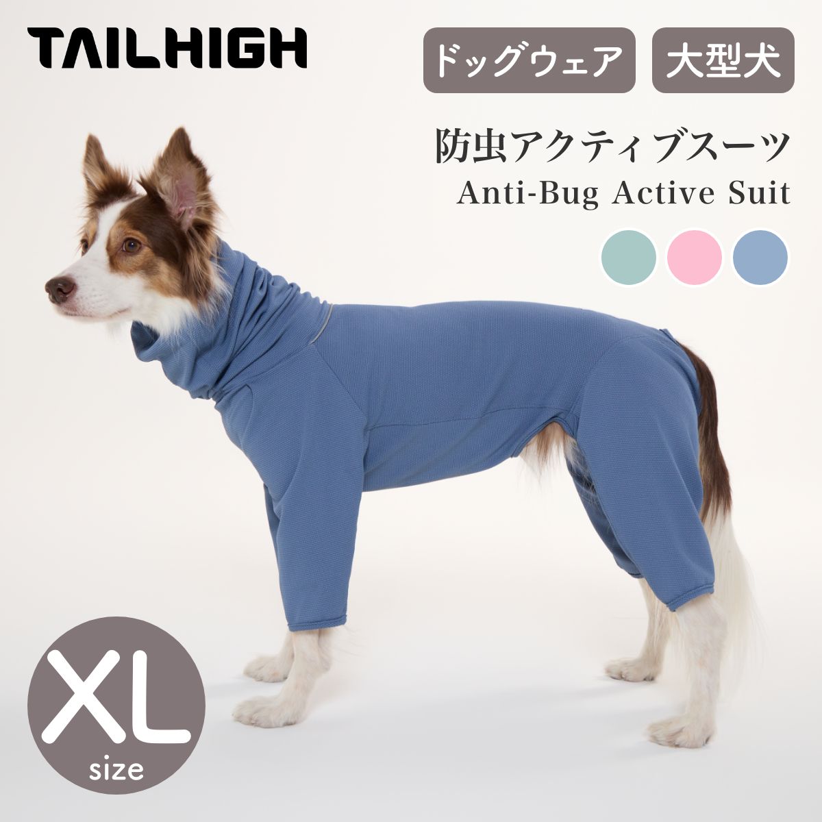 TAILHIGH / テールハイ
