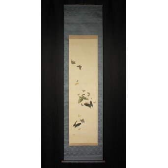 掛軸 水鶏(くいな) 渡辺清作 鑑定箱書付 共箱 紙箱 S936KJ 掛軸 水鶏