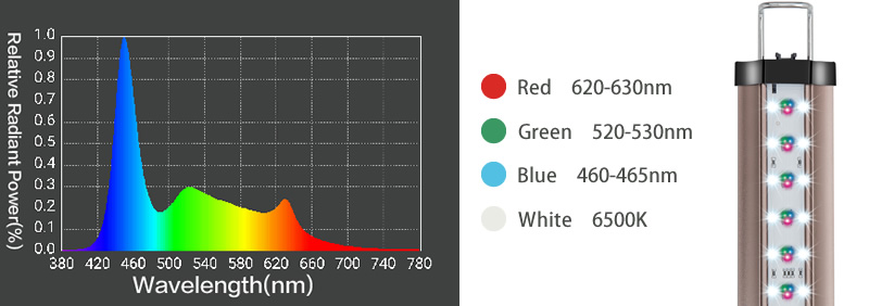 ZETLIGHT｜LSS Laboratory