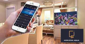 ZETLIGHT｜LSS Laboratory