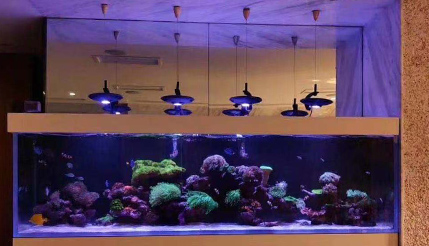 LEDサンゴ育成ライト 55個搭載 LEDサンゴ育成ライト 55個搭載 LEDサンゴ