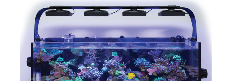 エコテックマリン｜LSS Laboratory